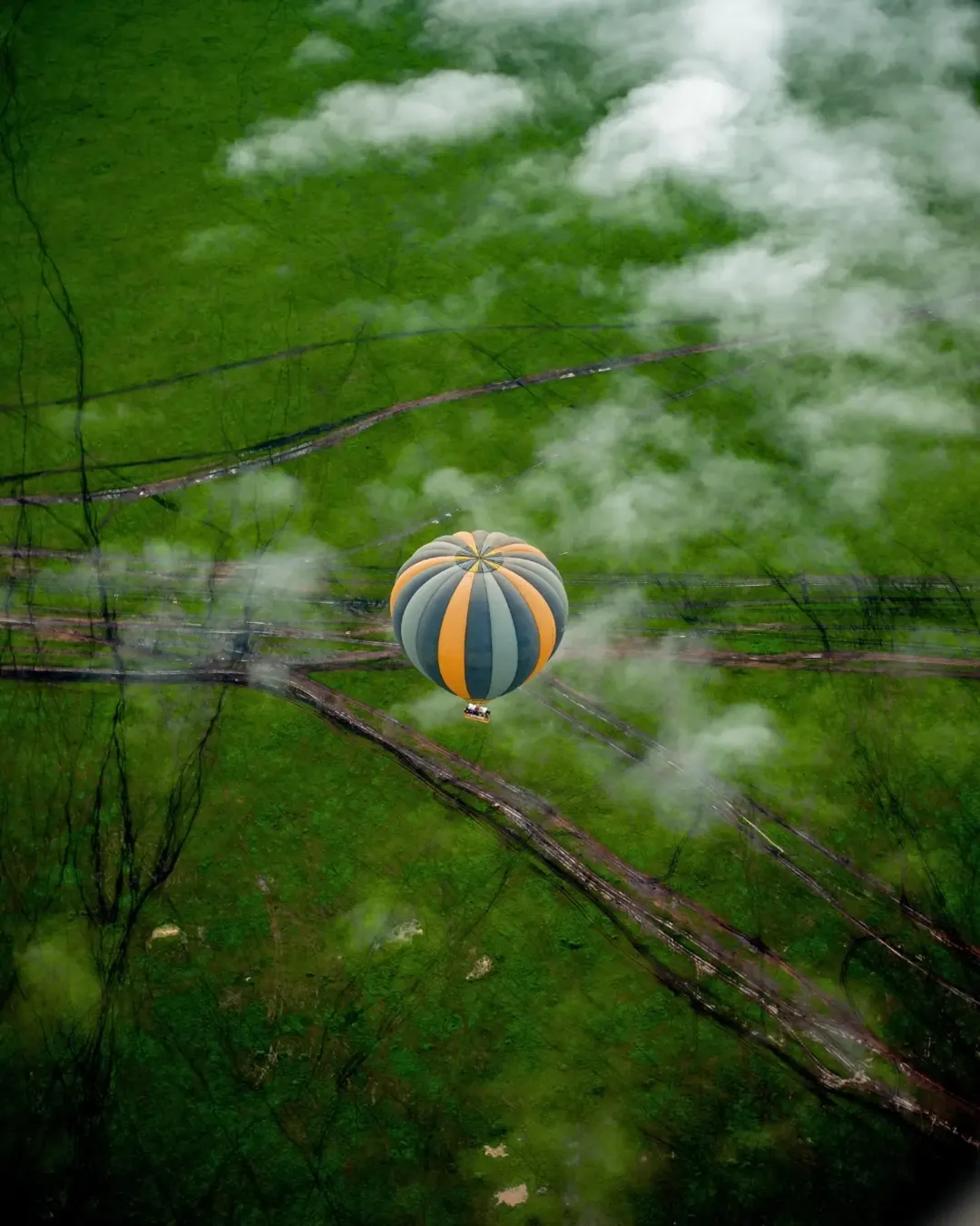 Serengeti Migration