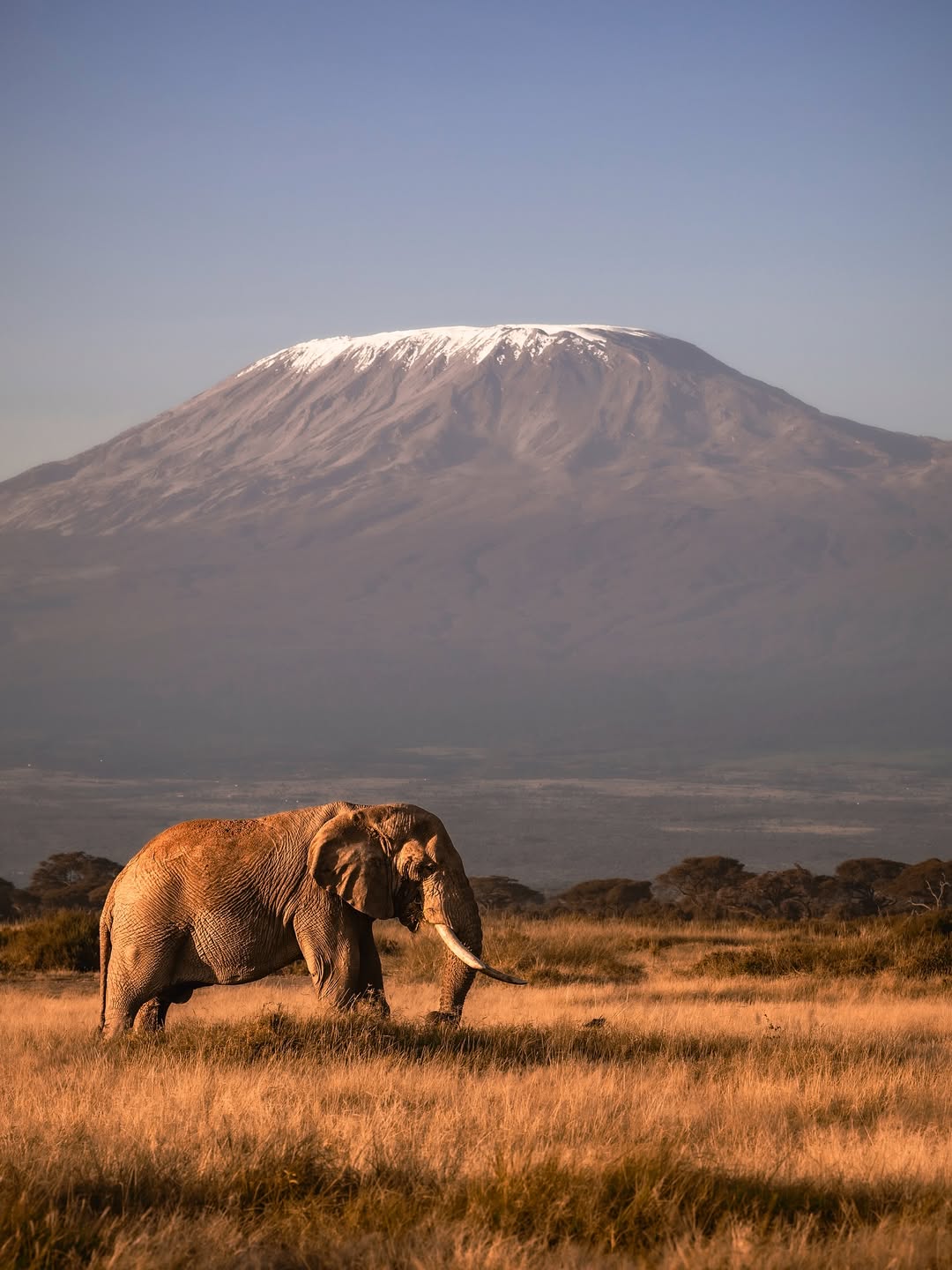 View of Kilimanjaro