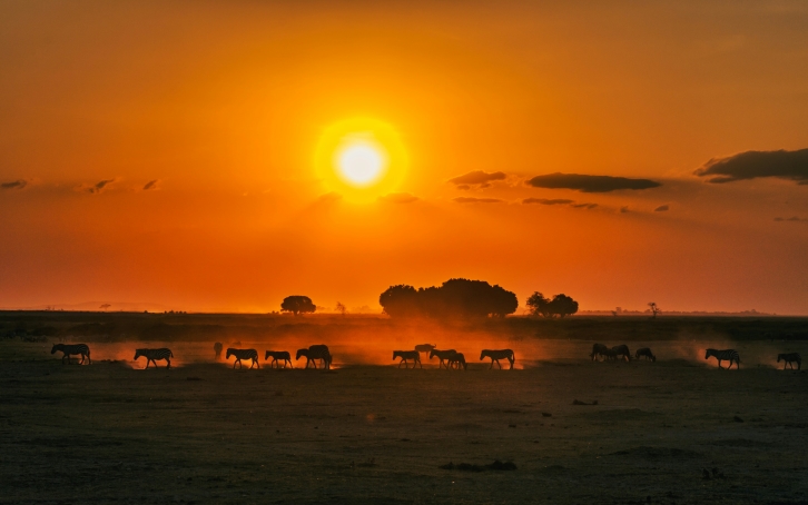 Maasai Warriors