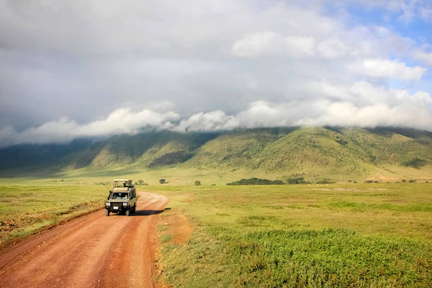 Serengeti Migration